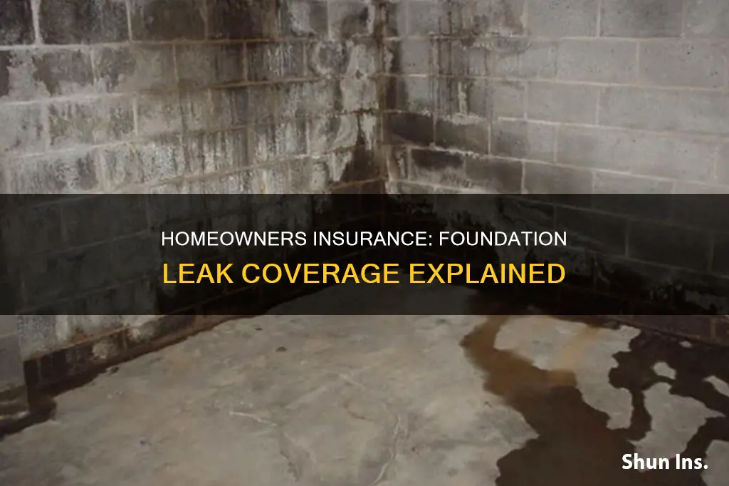 does homeowners insurance cover foundation leaks