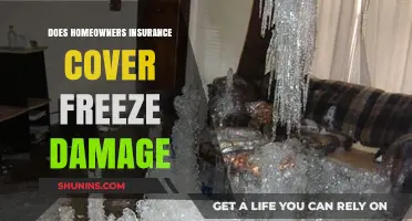 Homeowners Insurance: What About Freeze Damage Coverage?