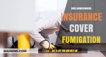 Home Insurance: Fumigation Covered or Not?