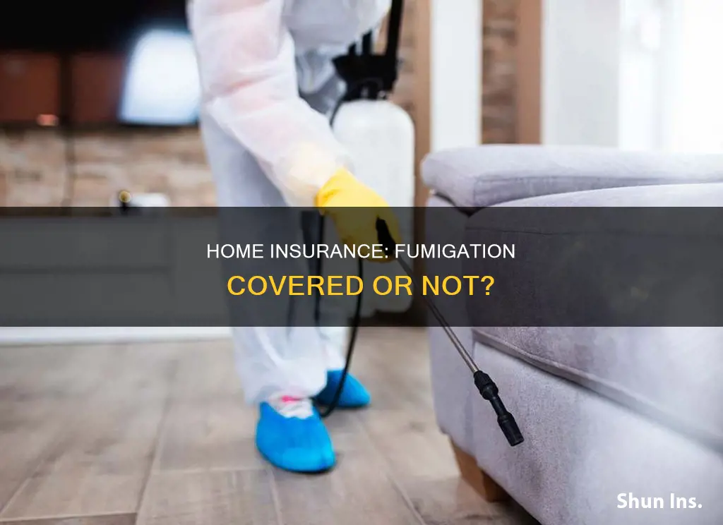 does homeowners insurance cover fumigation