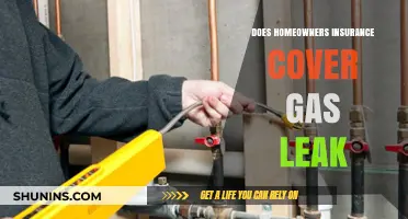 Homeowners Insurance: Gas Leaks and Coverage