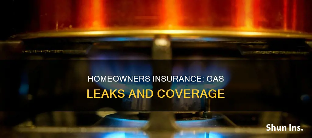 does homeowners insurance cover gas leak