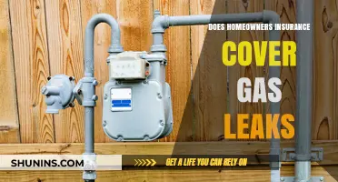 Home Insurance: Gas Leaks Covered?
