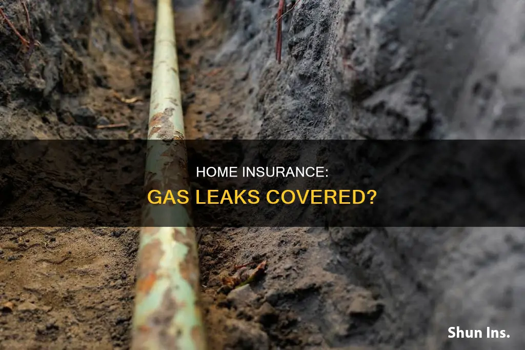 does homeowners insurance cover gas leaks