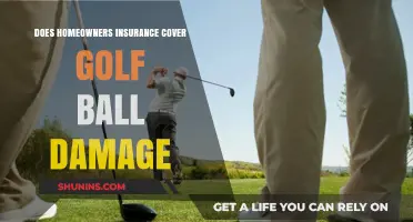 Golf Ball Damage: Is Your Home Insurance On Par?