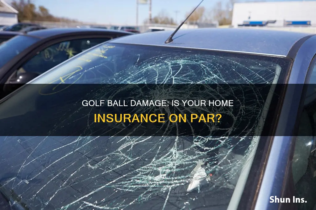 does homeowners insurance cover golf ball damage
