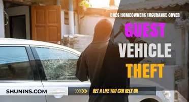 Guest Car Theft: Are You Covered by Home Insurance?
