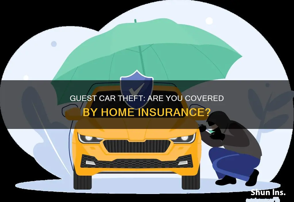 does homeowners insurance cover guest vehicle theft