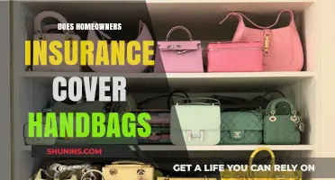 Handbag Coverage: Is Your Home Insurance Enough?