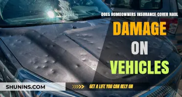 Home Insurance: Does It Cover Car Hail Damage?