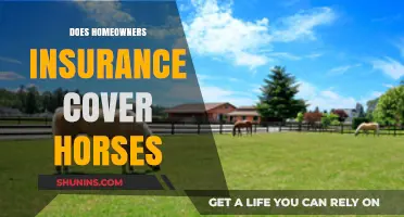 Horse Owners: Are Your Horses Covered by Home Insurance?