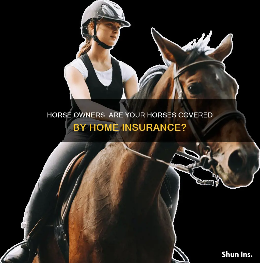 does homeowners insurance cover horses