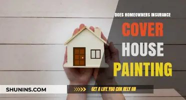 Homeowners Insurance: Does It Cover House Painting?