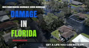 Florida Homeowners: Are You Covered for Hurricanes?