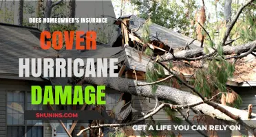 Homeowner's Insurance: Hurricane Damage Covered?