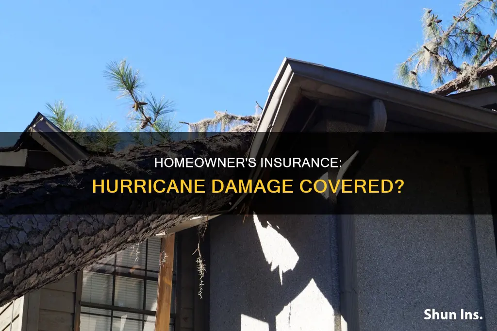 does homeowner