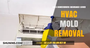 Home Insurance: Does It Cover Mold Removal in HVAC?