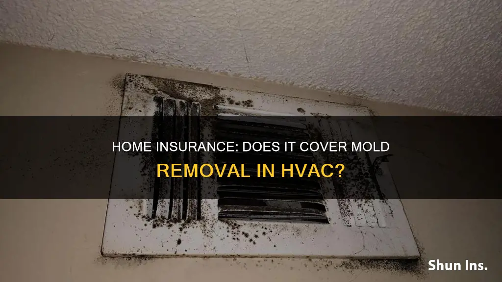 does homeowners insurance cover hvac mold removal
