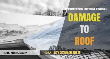 Homeowners Insurance: Ice Damage Roof Coverage