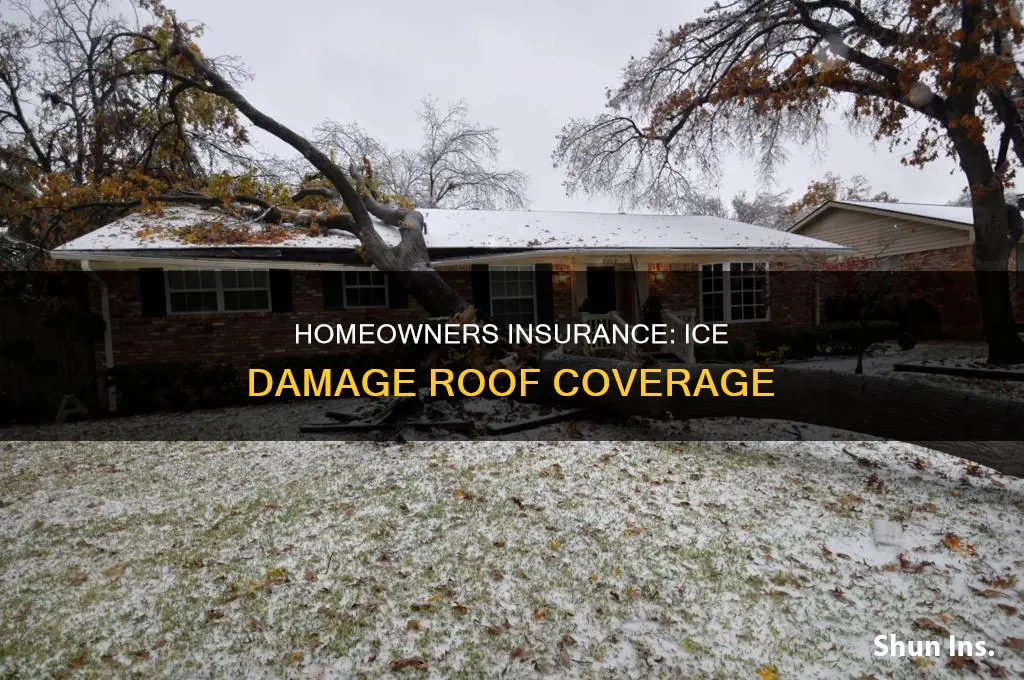 does homeowners insurance cover ice damage to roof