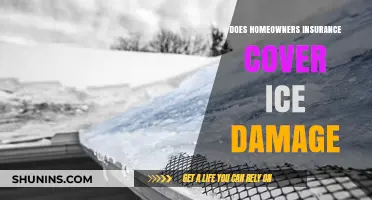 Homeowners Insurance: Ice Damage Covered or Not?