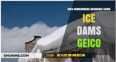 Homeowners Insurance: Ice Dams and Your GEICO Policy