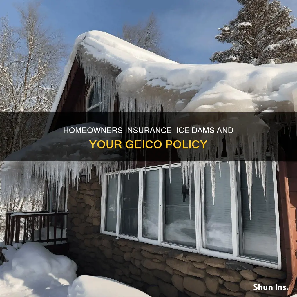 does homeowners insurance cover ice dams geico