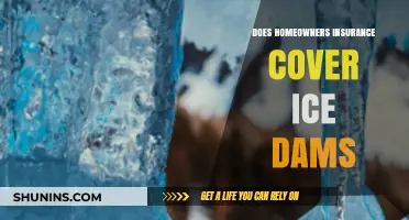 Homeowners Insurance: Ice Dams Covered?