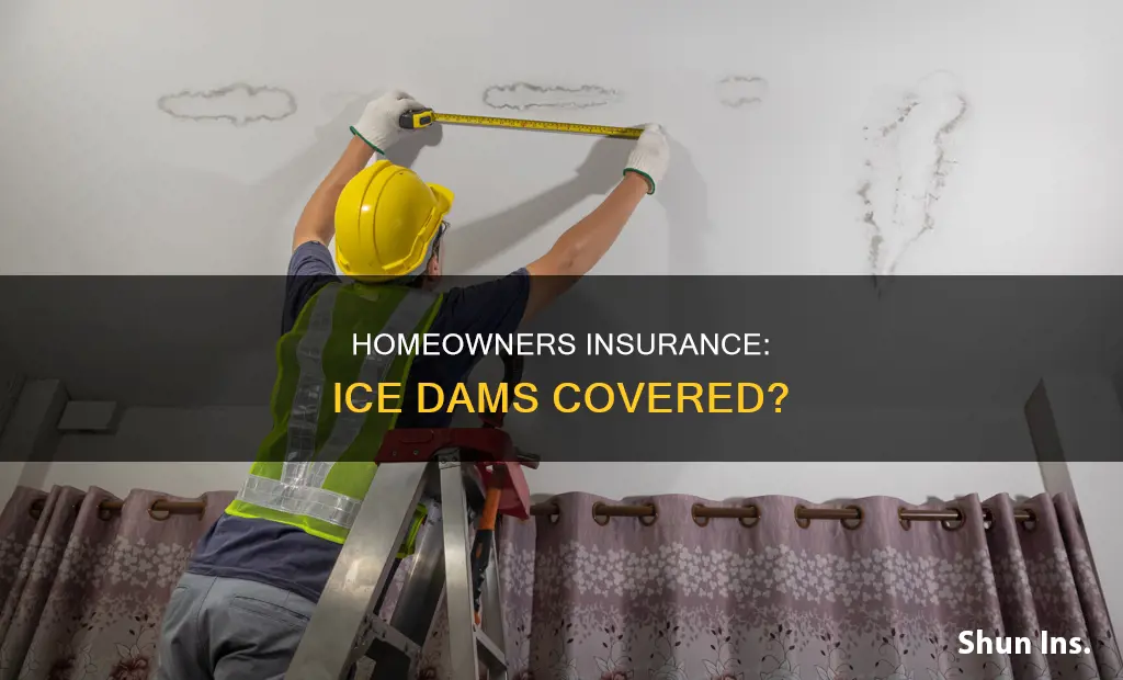 does homeowners insurance cover ice dams