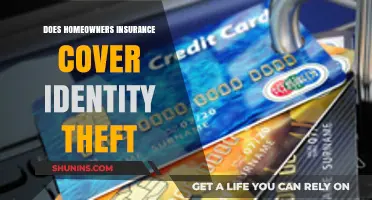 Identity Theft: Is Your Homeowners Insurance Enough?