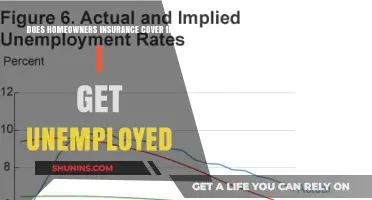 Home Insurance: Unemployment Protection for Mortgage Payments?