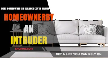Homeowner's Insurance: Intruder Injury Protection?