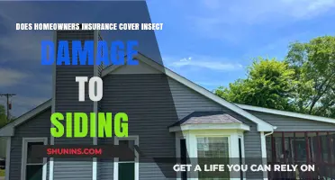 Homeowners Insurance: Insect Damage to Siding Covered?