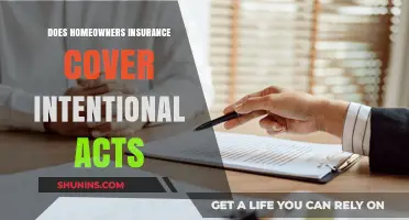 Home Insurance: Intentional Acts and Coverage
