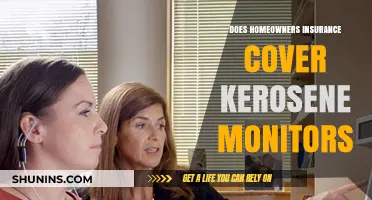 Home Insurance: Kerosene Monitors Covered?