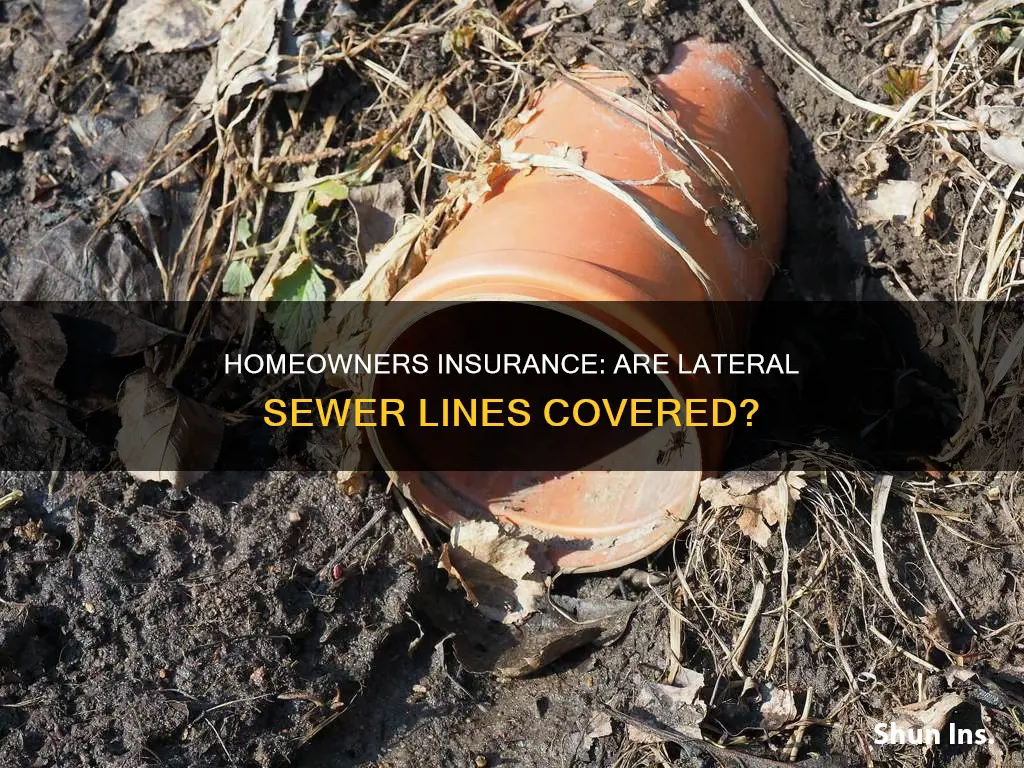 does homeowners insurance cover lateral sewer lines