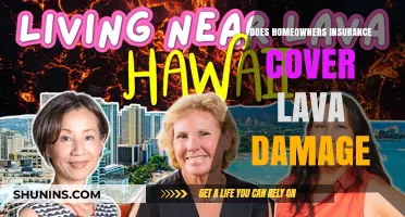 Homeowners Insurance: Does it Cover Lava Damage?
