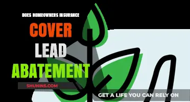 Home Insurance: Lead Abatement Coverage Explained
