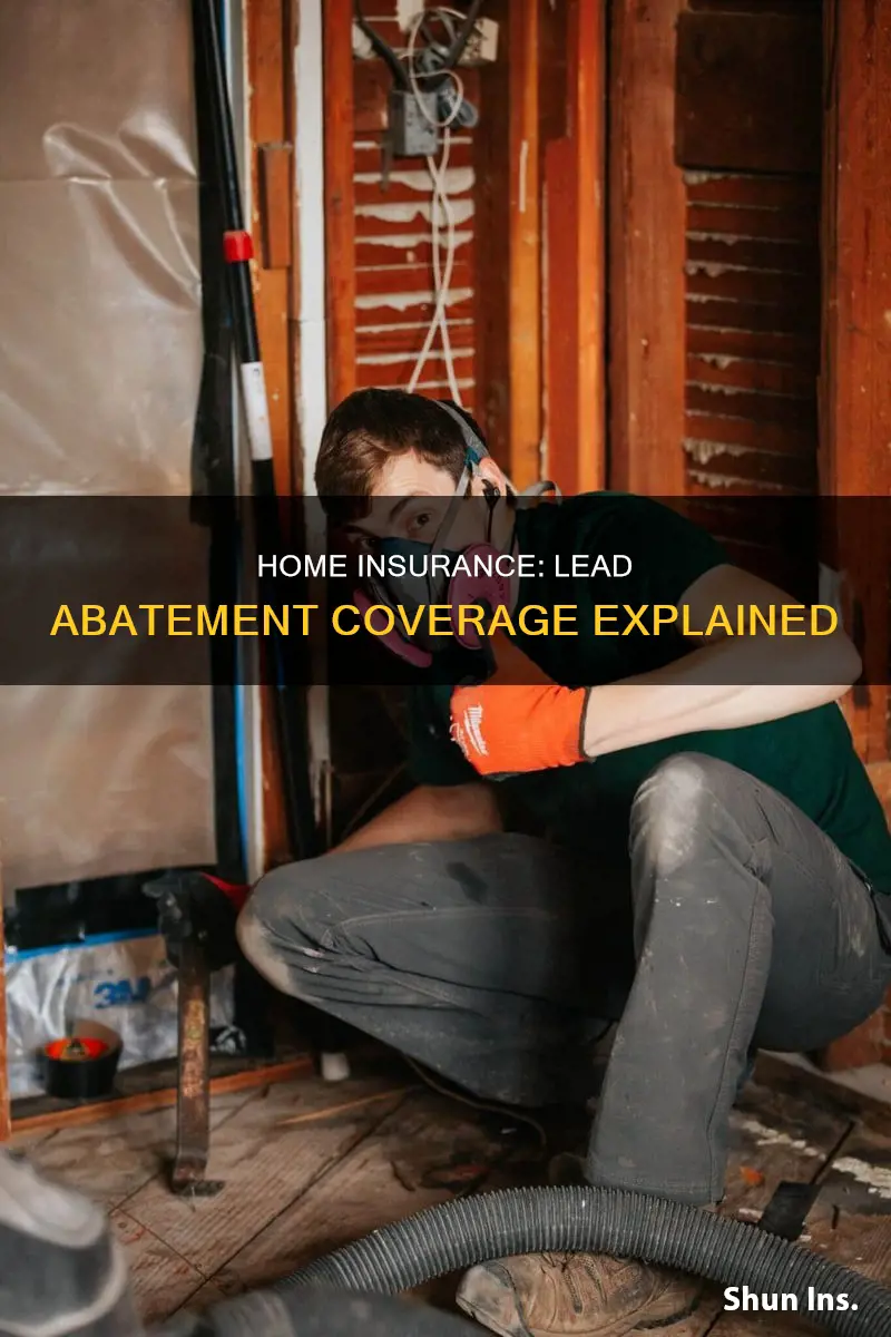 does homeowners insurance cover lead abatement