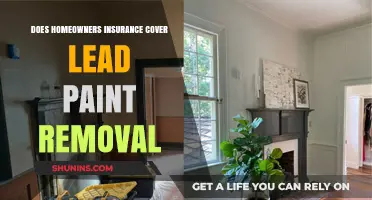 Home Insurance: Lead Paint Removal Coverage