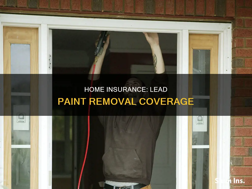 does homeowners insurance cover lead paint removal