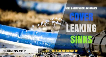 Homeowners Insurance: Leaking Sinks, What's Covered?