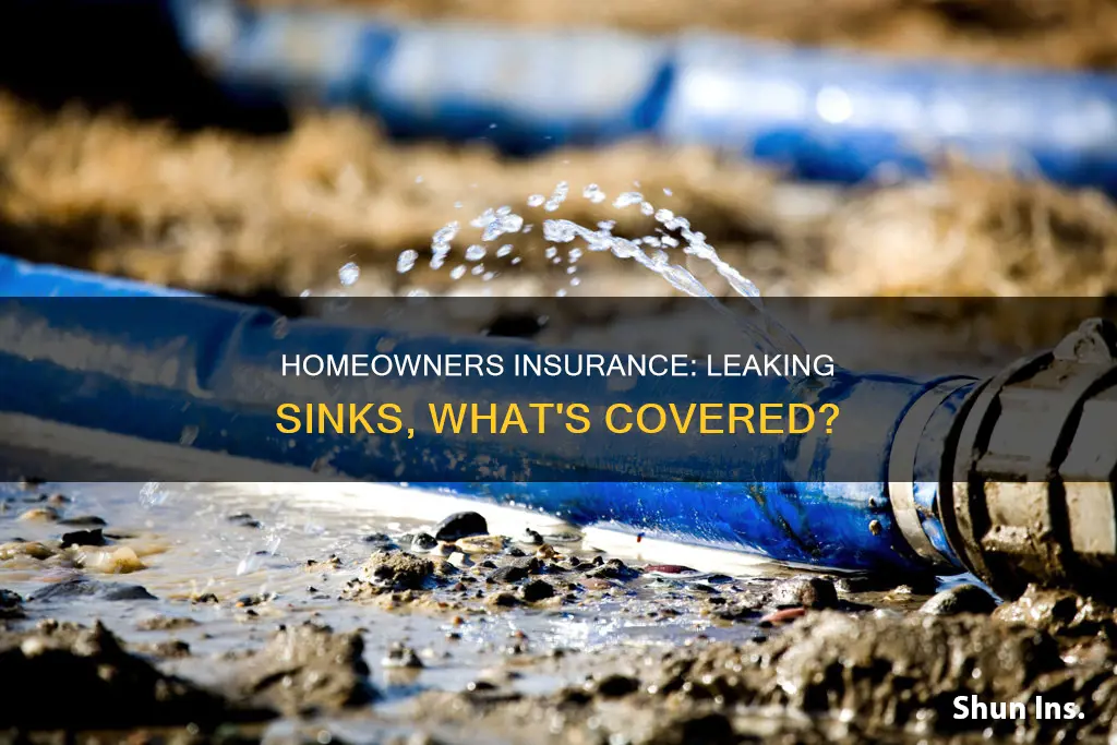 does homeowners insurance cover leaking sinks