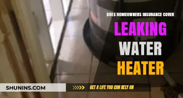 Home Insurance: Leaking Water Heater Covered?