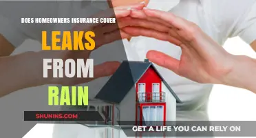 Homeowners Insurance: Does Rain Leak Damage Fall Under Coverage?