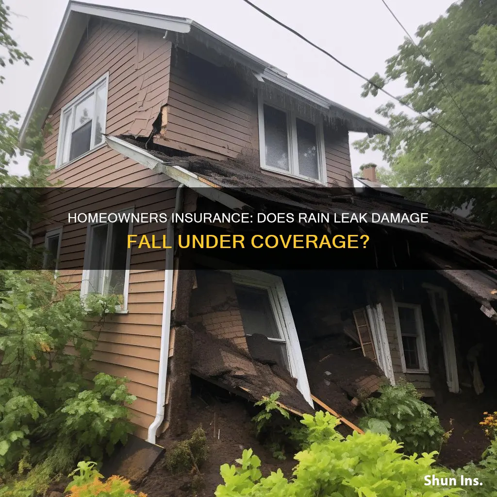 does homeowners insurance cover leaks from rain