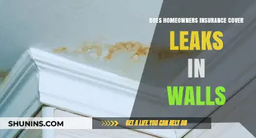 Homeowners Insurance: Does It Cover Wall Leaks?