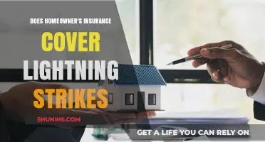 Homeowner's Insurance: Lightning Strikes and Coverage