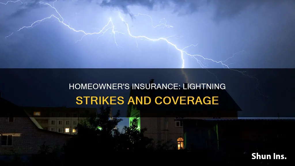 does homeowner
