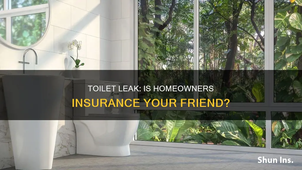 does homeowners insurance cover link from a toilet leak